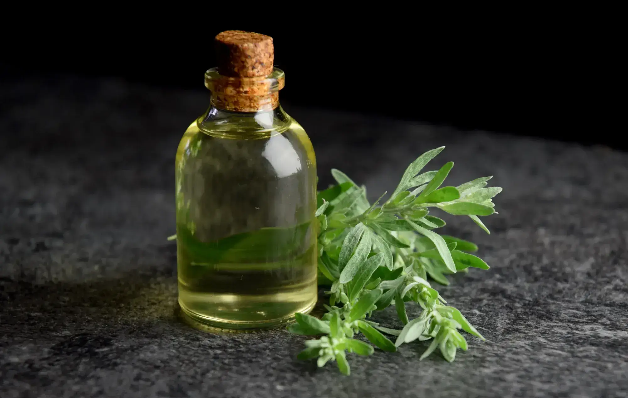 Are Parasite Cleanses Safe? The MAHA Influencer Trend Uncovered